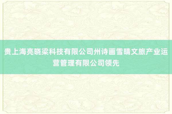 贵上海亮晓梁科技有限公司州诗画雪晴文旅产业运营管理有限公司领先