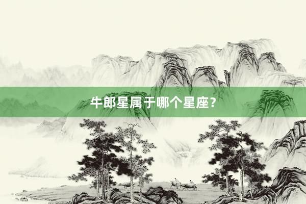 牛郎星属于哪个星座？
