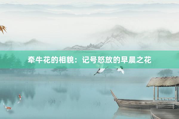 牵牛花的相貌：记号怒放的早晨之花