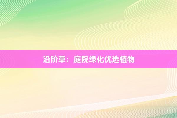 沿阶草：庭院绿化优选植物